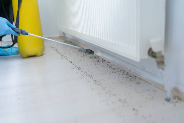 Pest Control for Restaurants in San Felipe Pueblo, NM